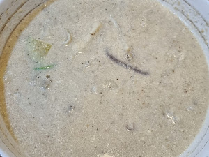 마실들깨수제비