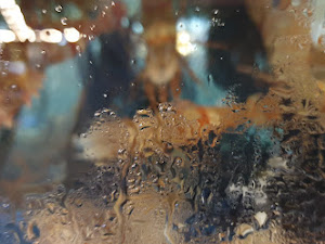 바라던바다 대게&새우