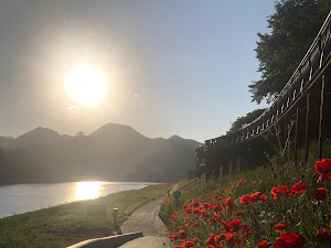 복사꽃피는집 단양점