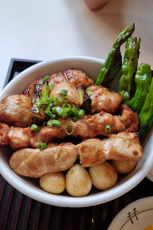 야끼토리 아오이