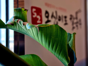 오십이도칼국수 본점