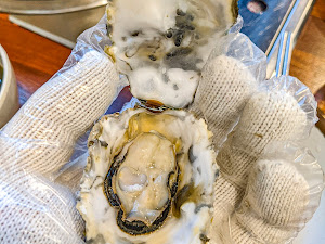 창우수산 활새우직판장