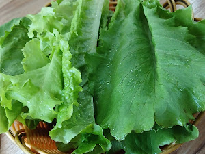 홍원 육개장•황태해장국