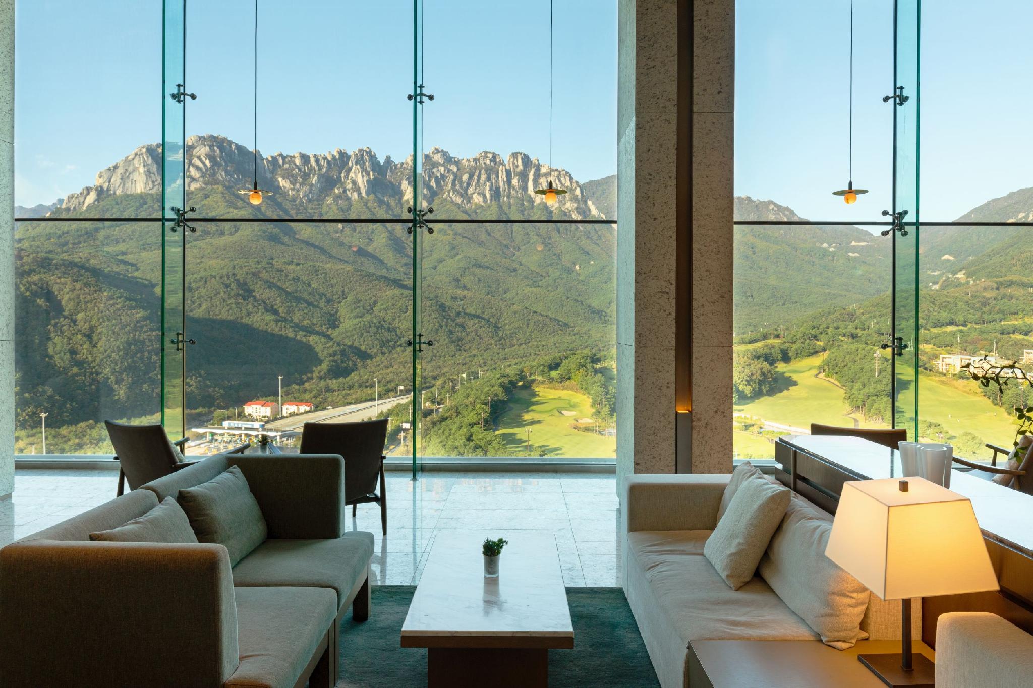 소노펠리체  델피노 (Sono Felice Delpino)