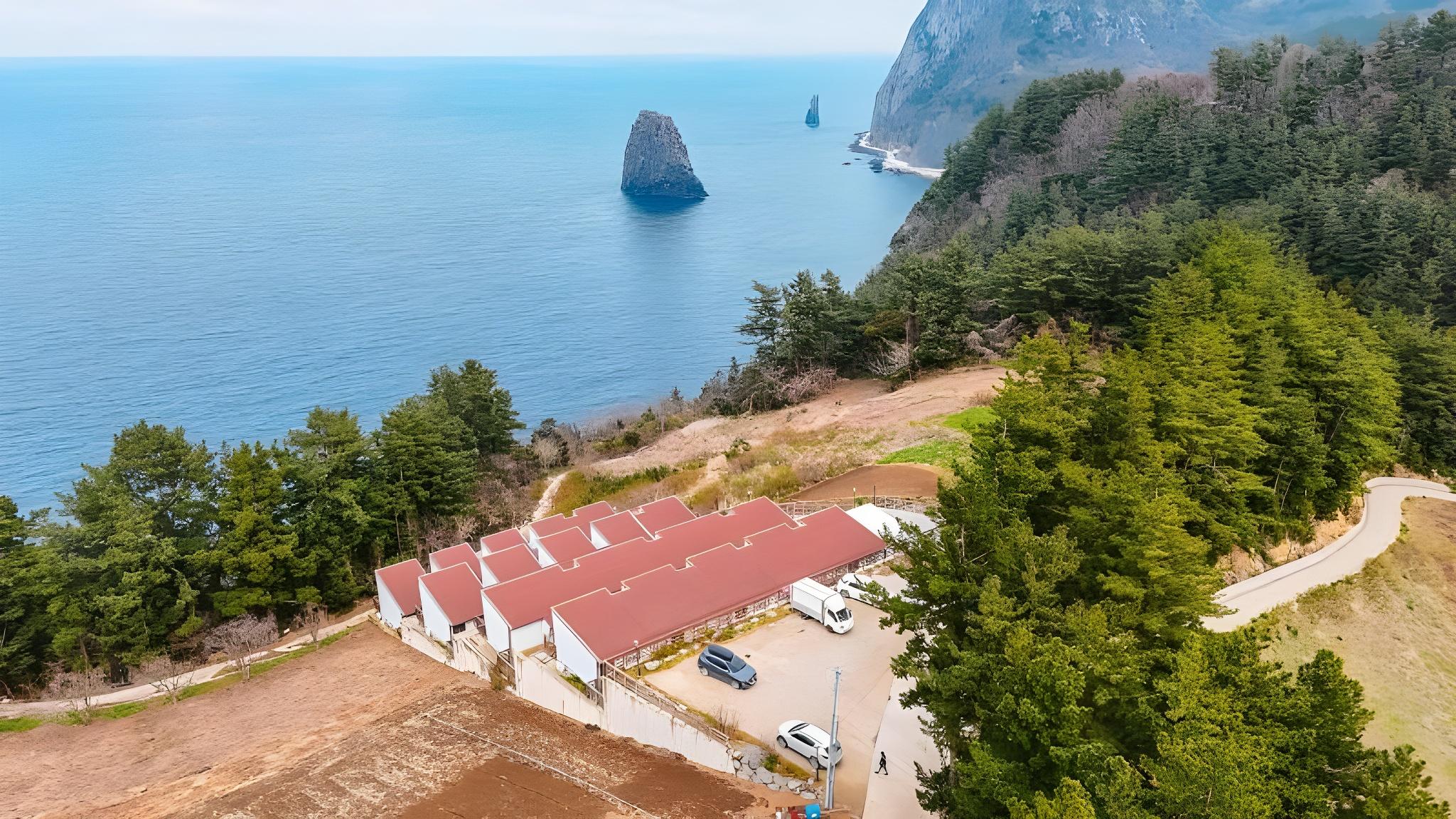 울릉도 스테이섬씽 (Ulleungdo StaySomething)