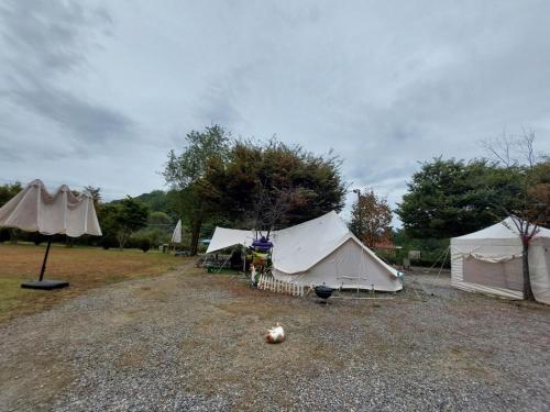 가평 잔디구장 펜션 (Gapyeong Jandigujang Pension)