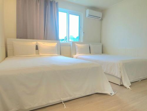 강릉 스테이여기 (Gangneung stay here)