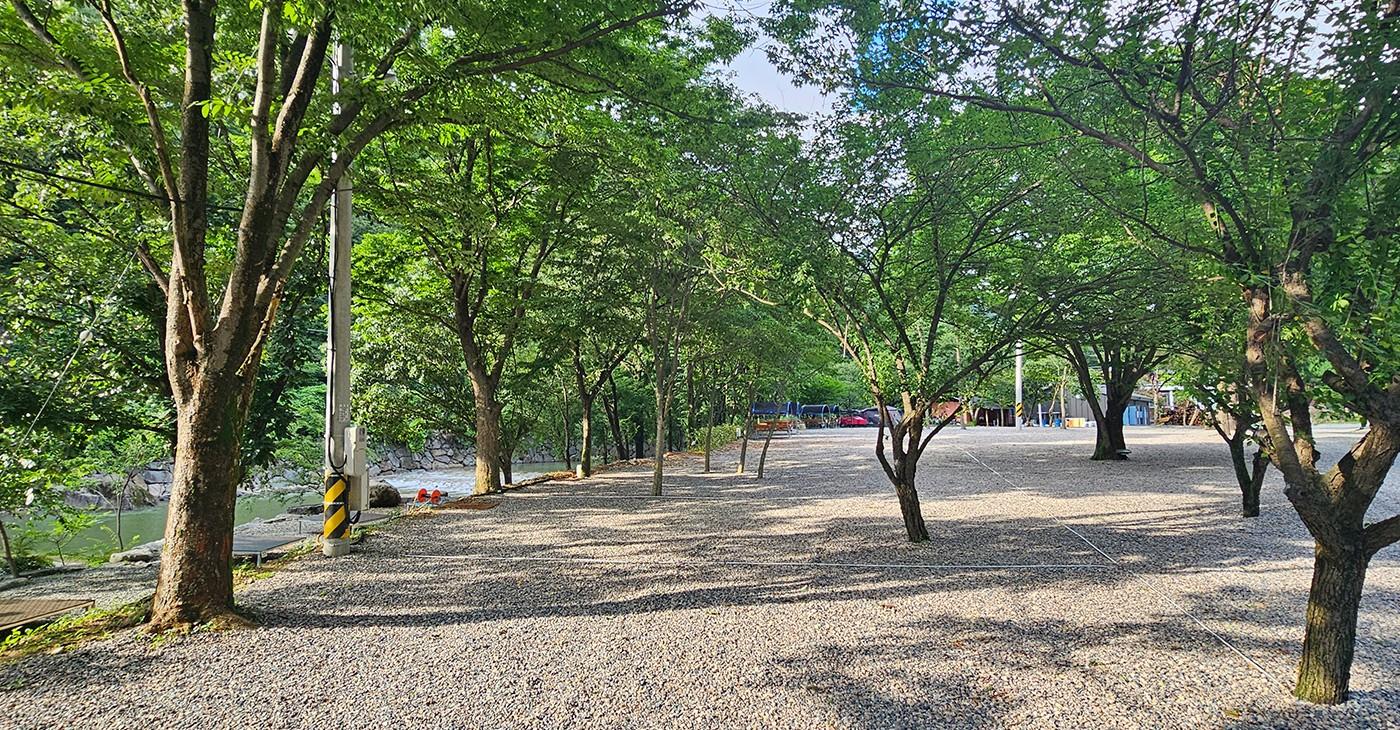 완주 더휴 캠핑장 앤 카페  (Wanju The Hue Campground N Cafe)