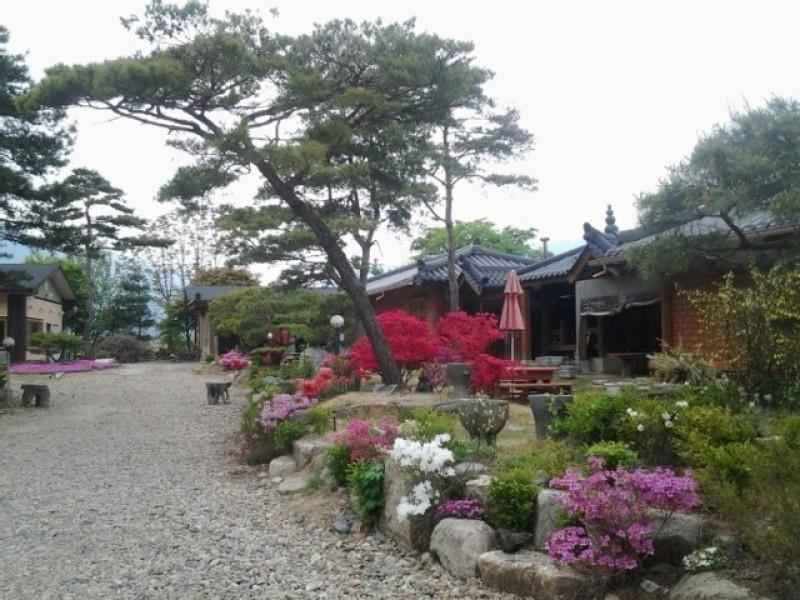 영주 솔마음황토민박펜션 (Yeongju Solmaeum Hwangto B&B Pension)