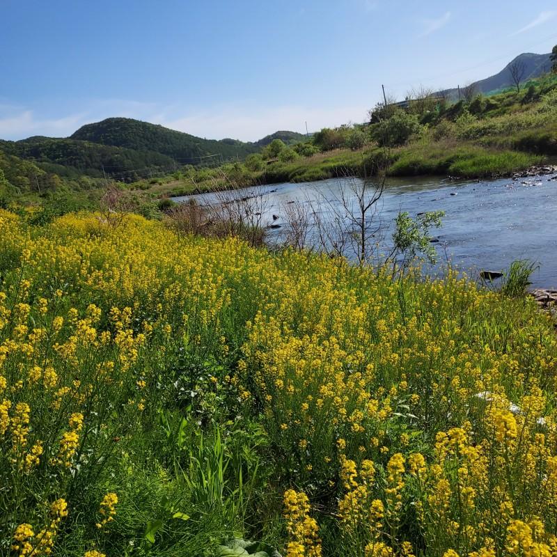 청주 해찬솔펜션 (Cheongju Haechansol Pension)