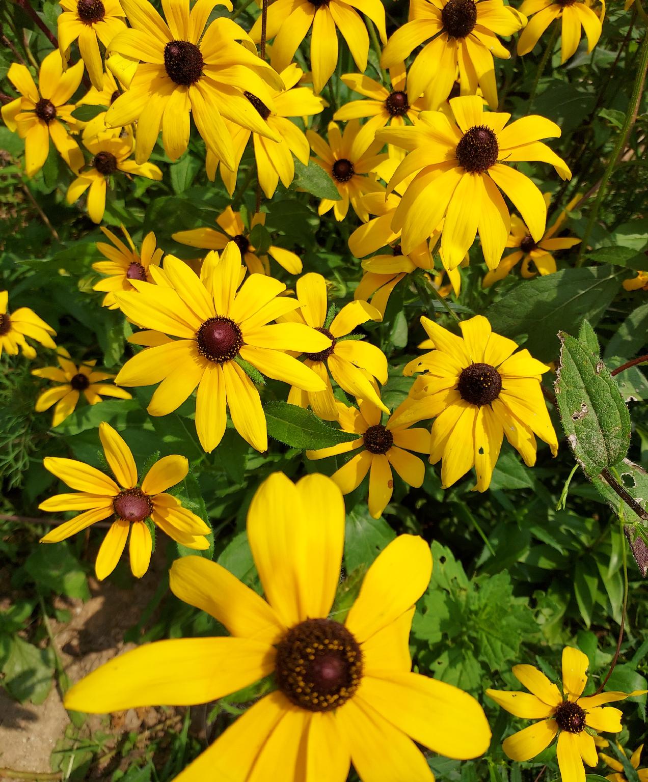 부여읍의 프라이빗 하우스 (19m², 침실 1개, 프라이빗 욕실 1개) (korea관광공사가 품질인증한  부여한옥 고풍스럽고 현대식 편리함과  건강을 생각한숙소  )