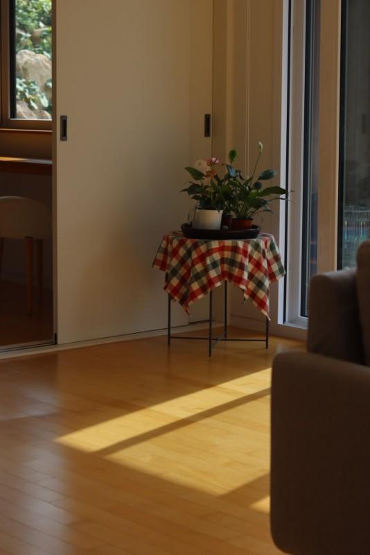 문경 비움독채펜션 (Mungyeong Bium Private Pension)