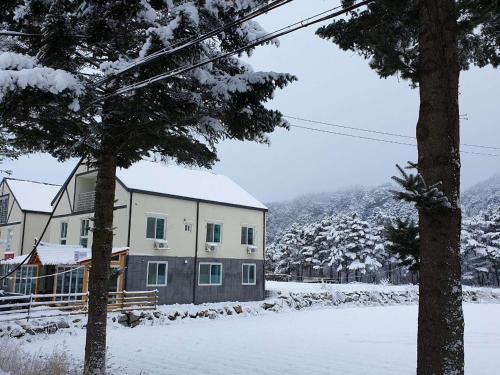 오대산힐링타운 달빛동 (Odaesan Healing Town Moonlight)