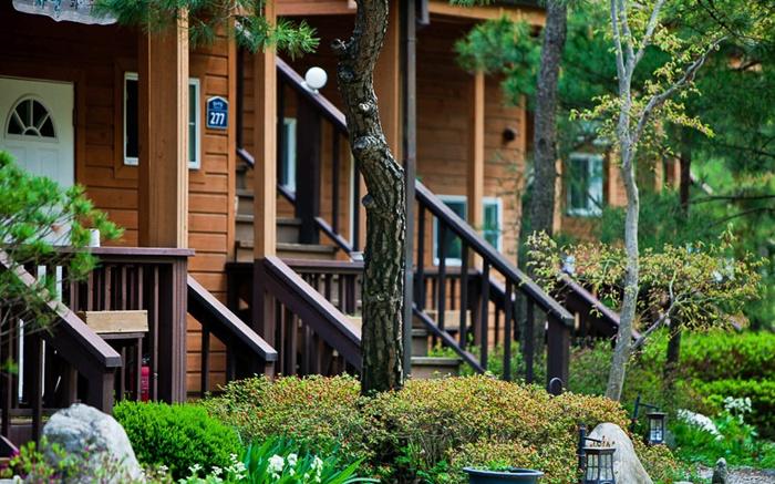 Nature and Our Pension & Camping