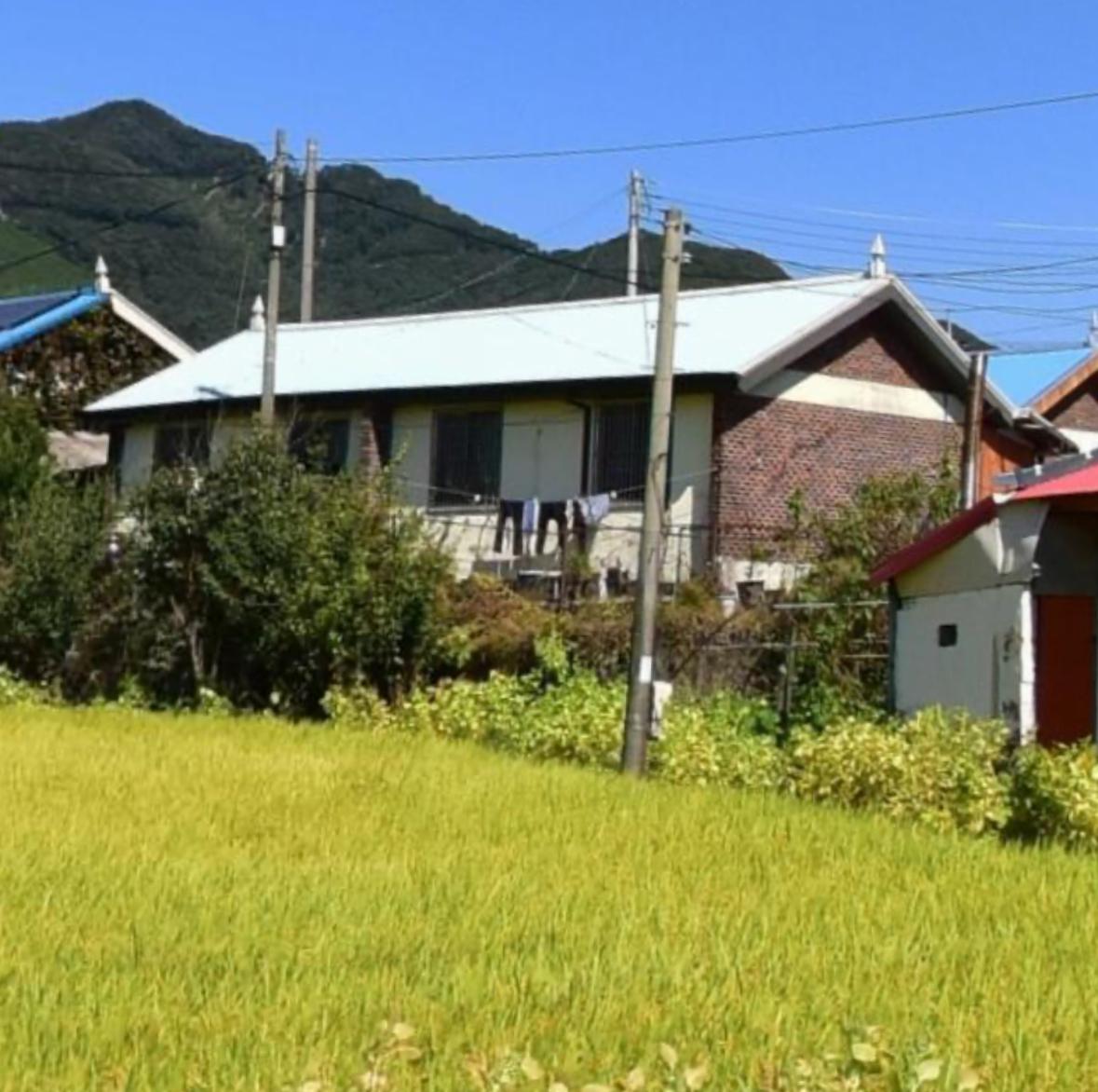 비암스 게스트하우스 (Biams Guesthouse)