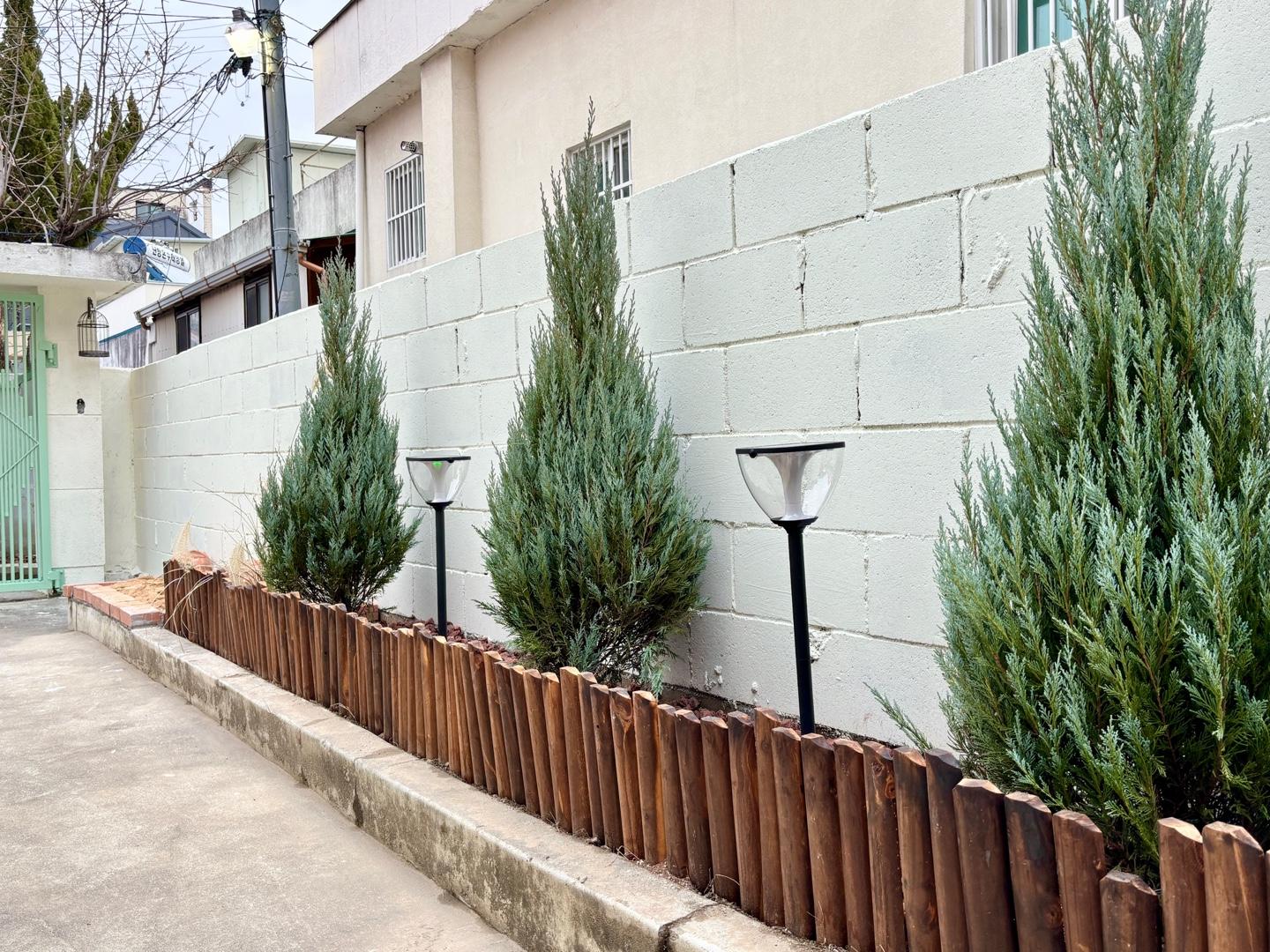 대전 스페셜 스테이 (Daejeon Special Stay)