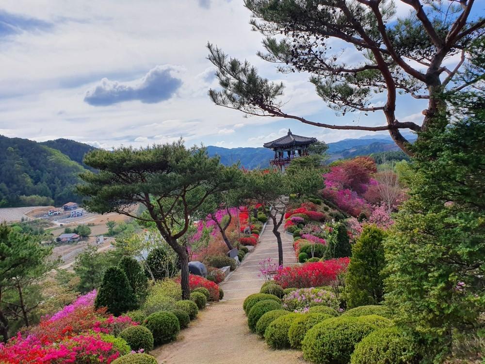 용호강 황토 펜션 홍천 (Yonghogang Red Clay Pension Hongcheon)