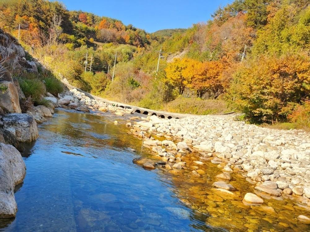 단양 하늘마루 독채 펜션 (Danyang Haneulmaru Private Pension)