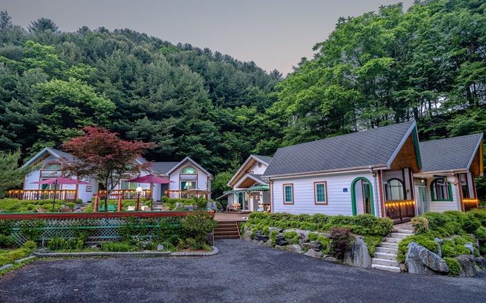 Let's Pick a Star Pension