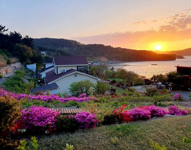 서산 더블루오션펜션 (Seosan The Blue Ocean Pension)