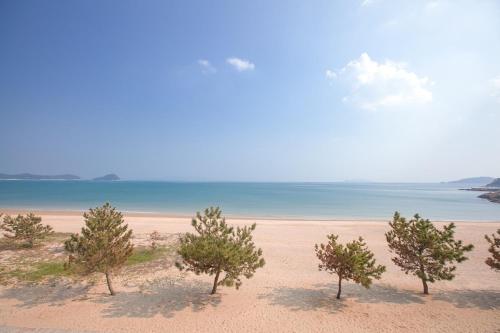 아일랜드 (Ireland)