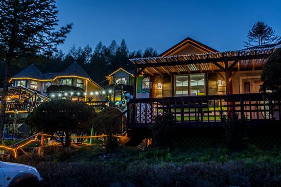 Bird Sound Pension in the Morning