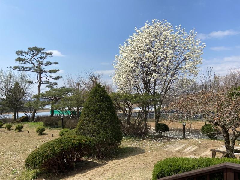 음성 작은숲펜션 (Eumseong Small Forest Pension)