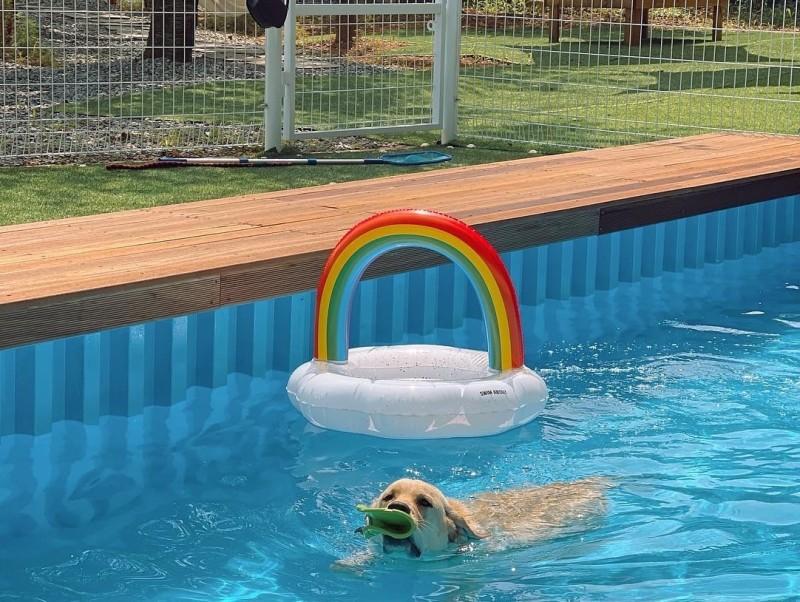 서산 펫앤트리글램핑 (Seosan Pet and Tree Glamping)