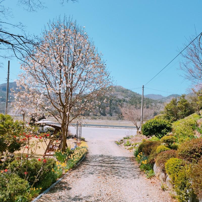 담양 자연나드리펜션 (Damyang Natural Nadeuri Pension)