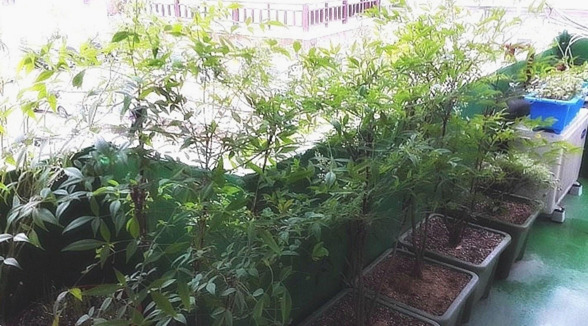 다나하루 게스트하우스 (Jeonju Dana Haru Guesthouse)