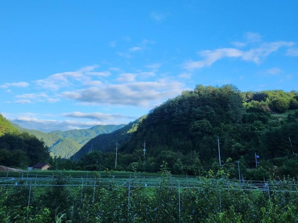 단양 하늘마루 독채 펜션 (Danyang Haneulmaru Private Pension)