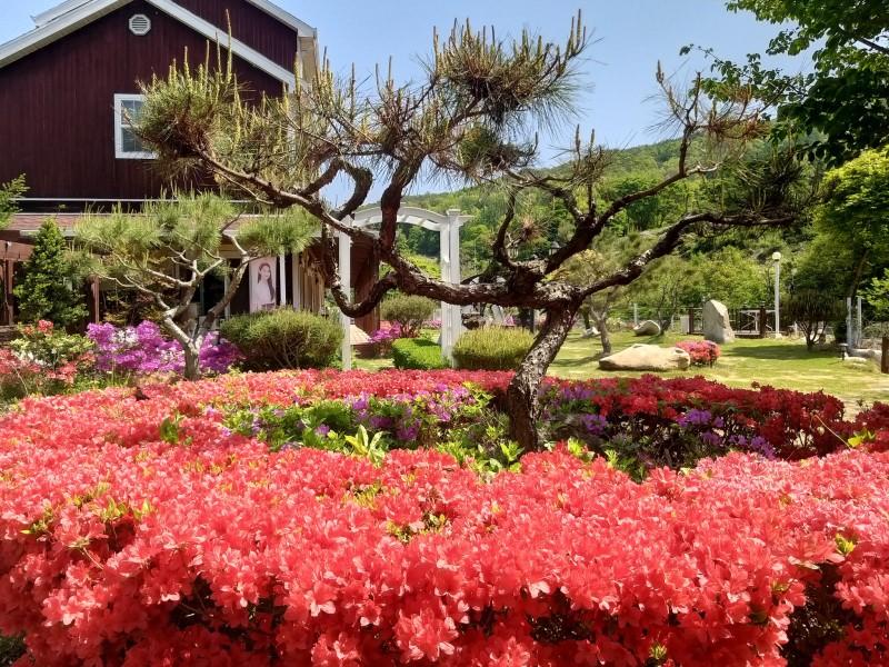 문경 베르체펜션 (Mungyeong Verce Pension)