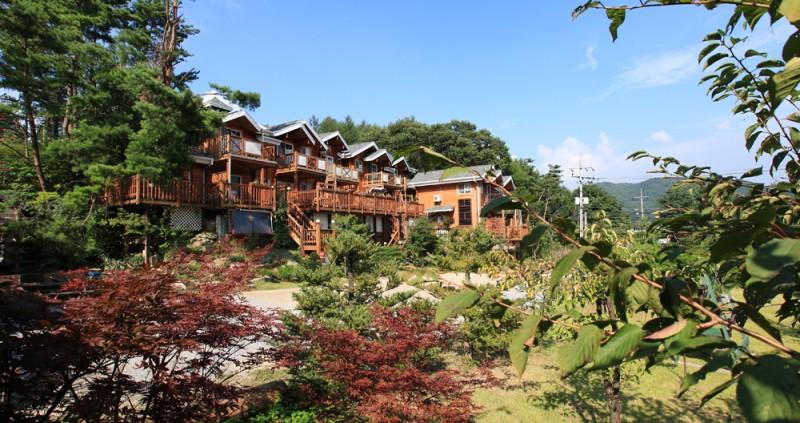 평창 솜다리펜션 (Pyeongchang Somdari Pension)