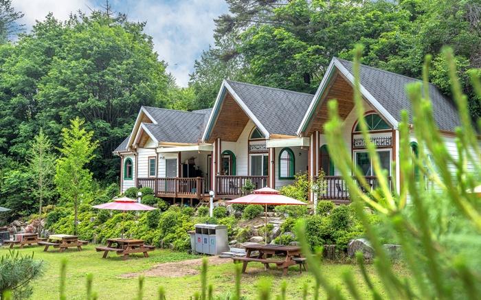 Let's Pick a Star Pension