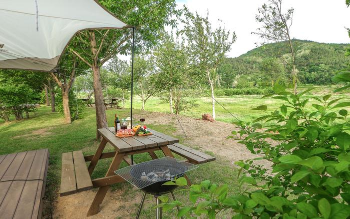 Songjeong Village Tree Flower Auto Camping Site