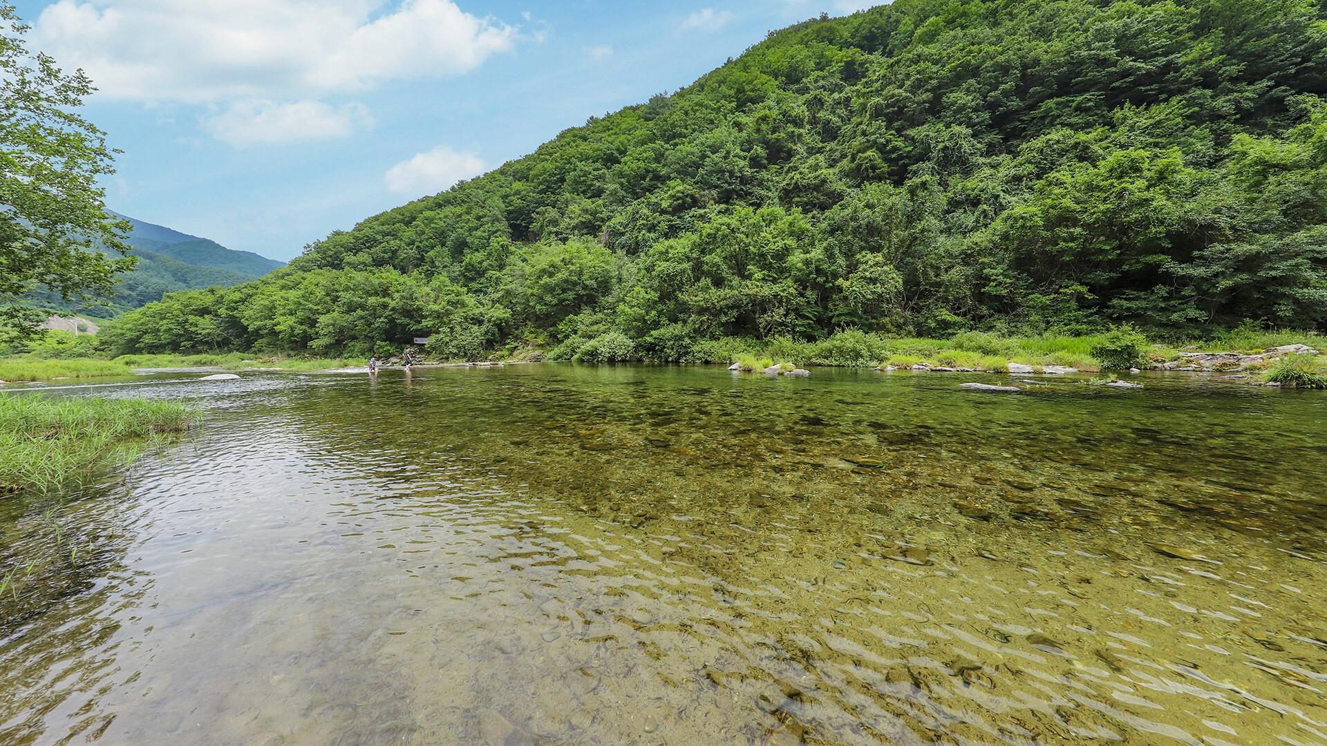 파라디소 키즈펜션 (gapyeong paradiso kijeupensyeon)