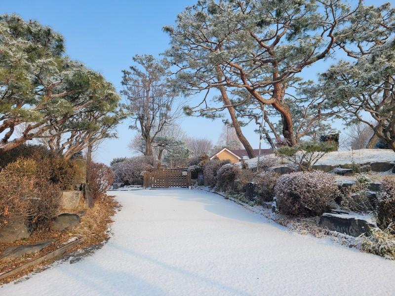 음성 작은숲펜션 (Eumseong Small Forest Pension)