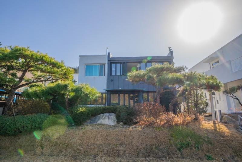 포천 청계호수자작나무숲펜션 (Pocheon Cheonggye Lake Birch Forest Pension)