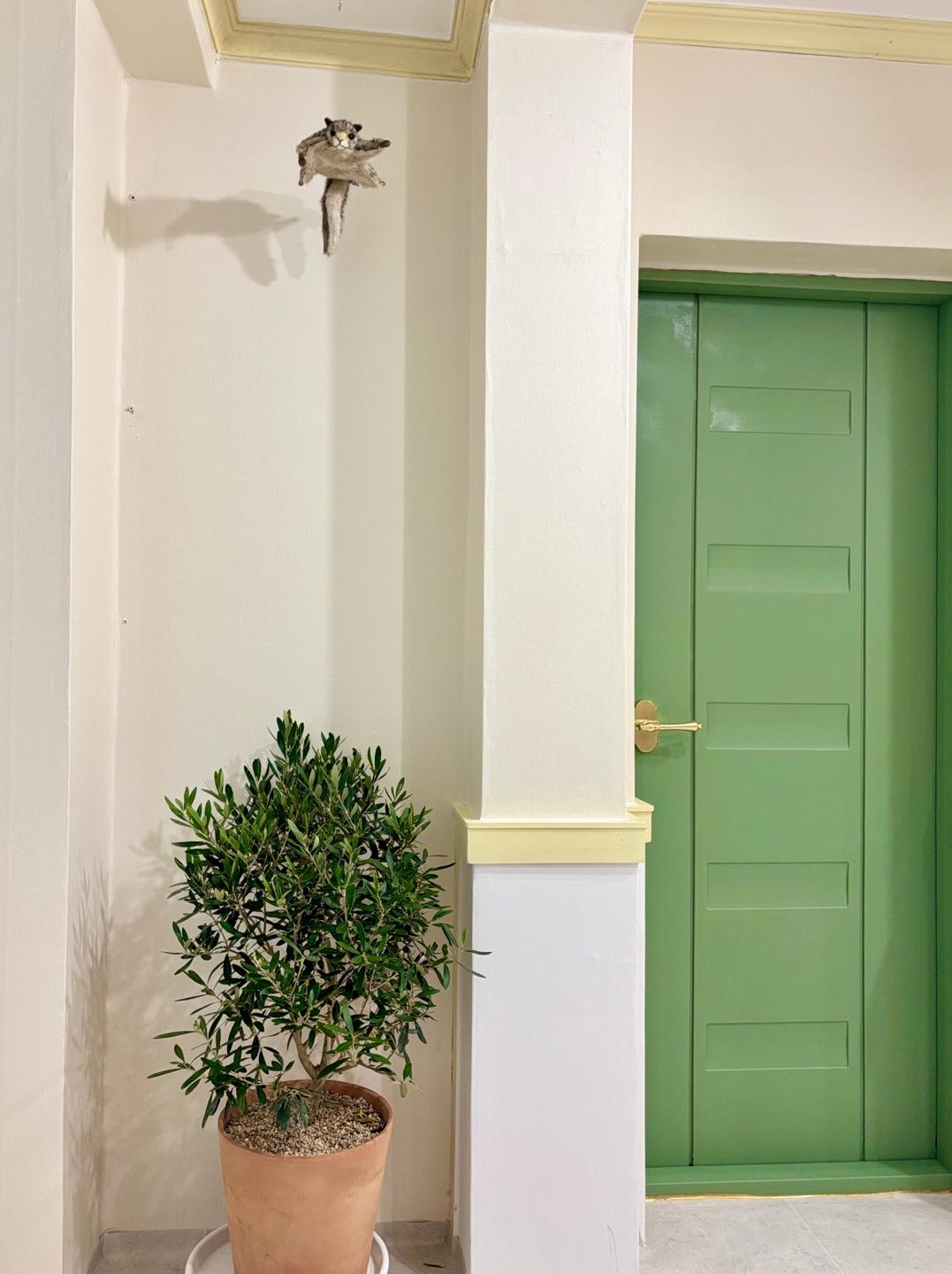 대전 스페셜 스테이 (Daejeon Special Stay)