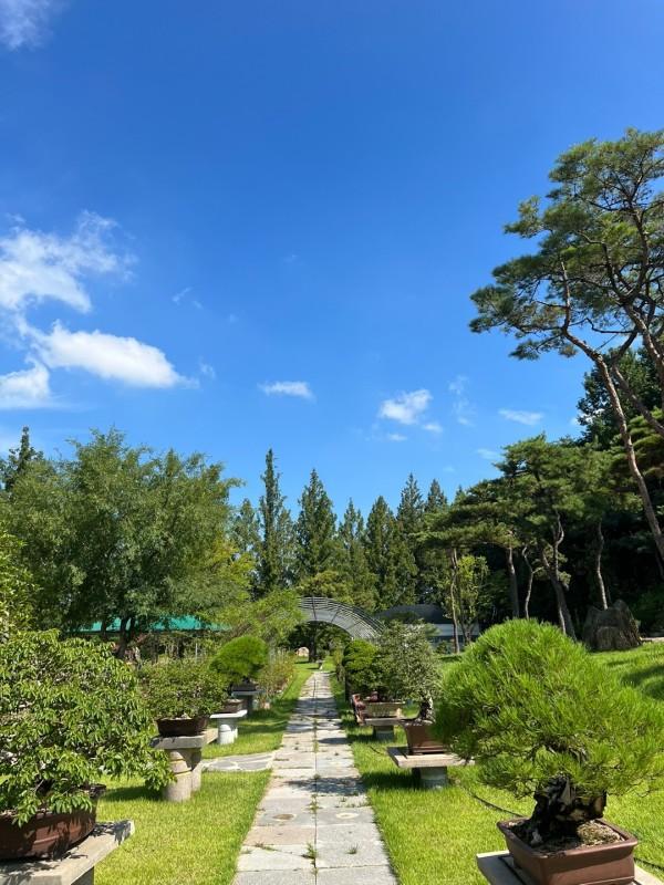 담양 오랑쥬마을펜션 (Damyang Orange Village Pension)