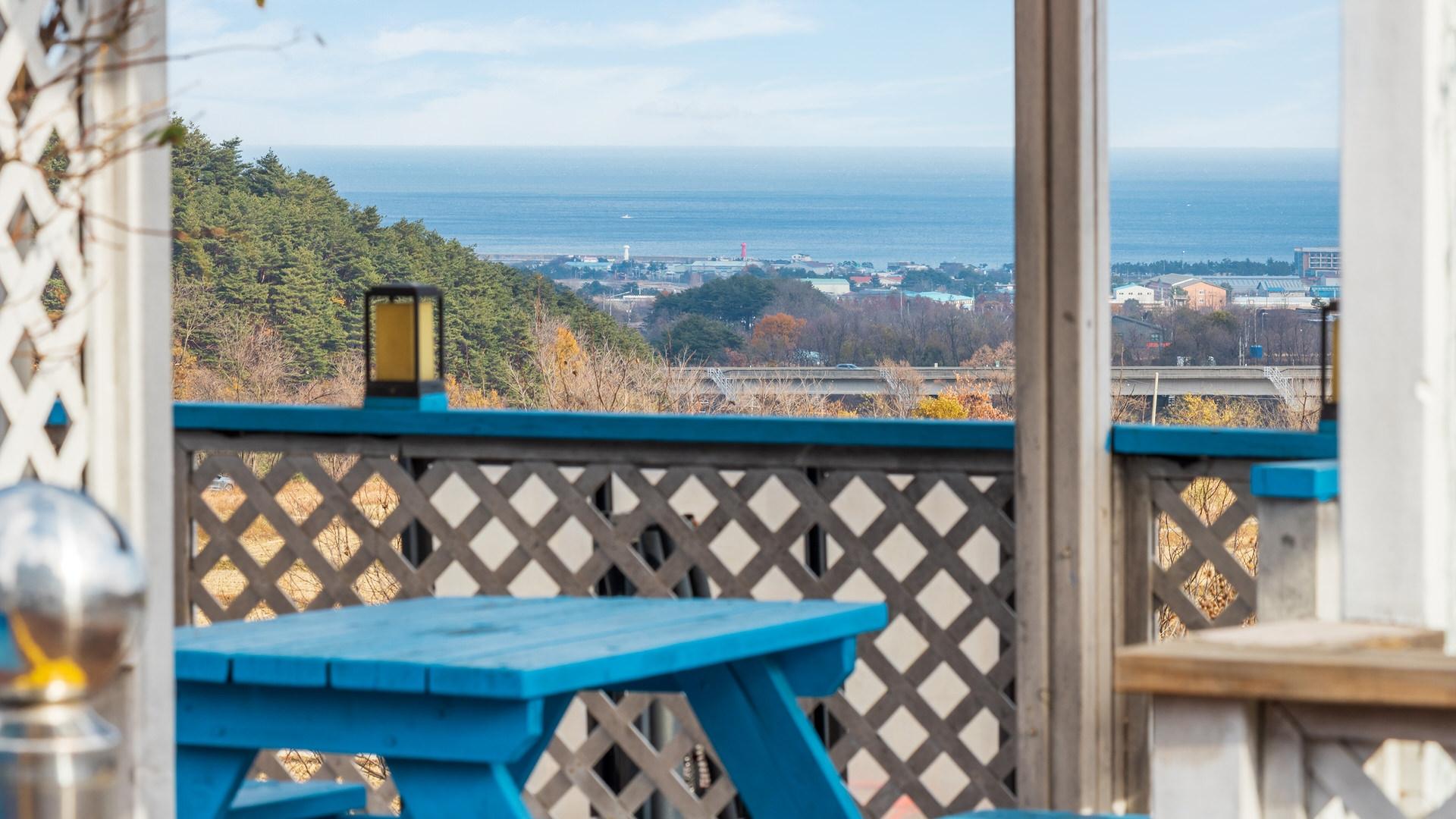 Yangyang Monti Pet Spa Pension