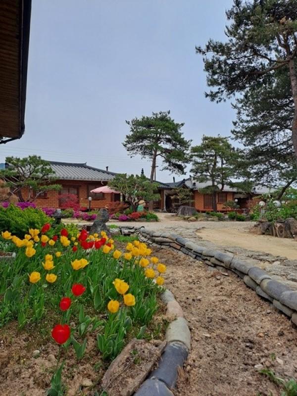 영주 솔마음황토민박펜션 (Yeongju Solmaeum Hwangto B&B Pension)