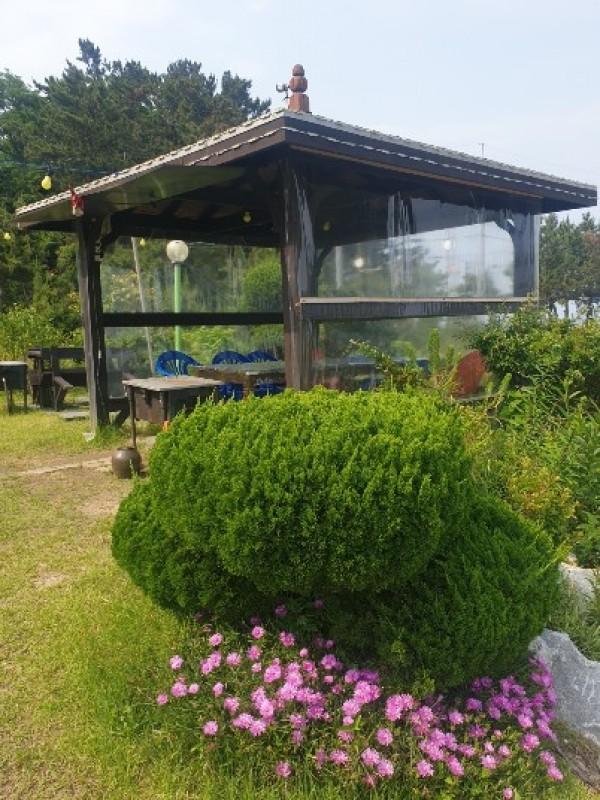 울진 노란뜰펜션 (Uljin Yellow Garden Pension)