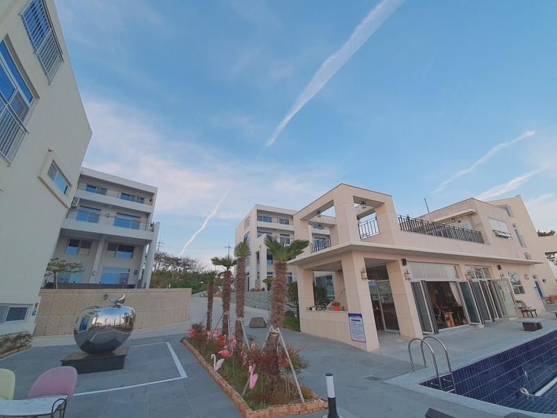 보성 플라밍고 (Boseong Flamingo)