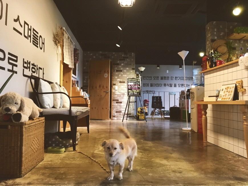 순천 게스트하우스 느림 (Suncheon guesthouse neurim)