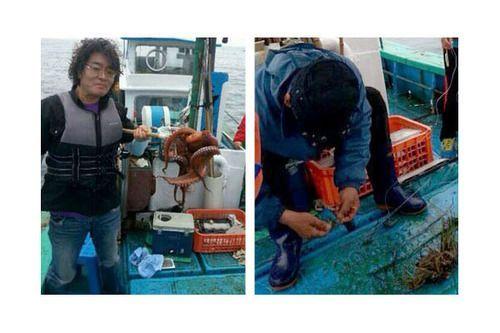 Goseong Naiaseu Pension