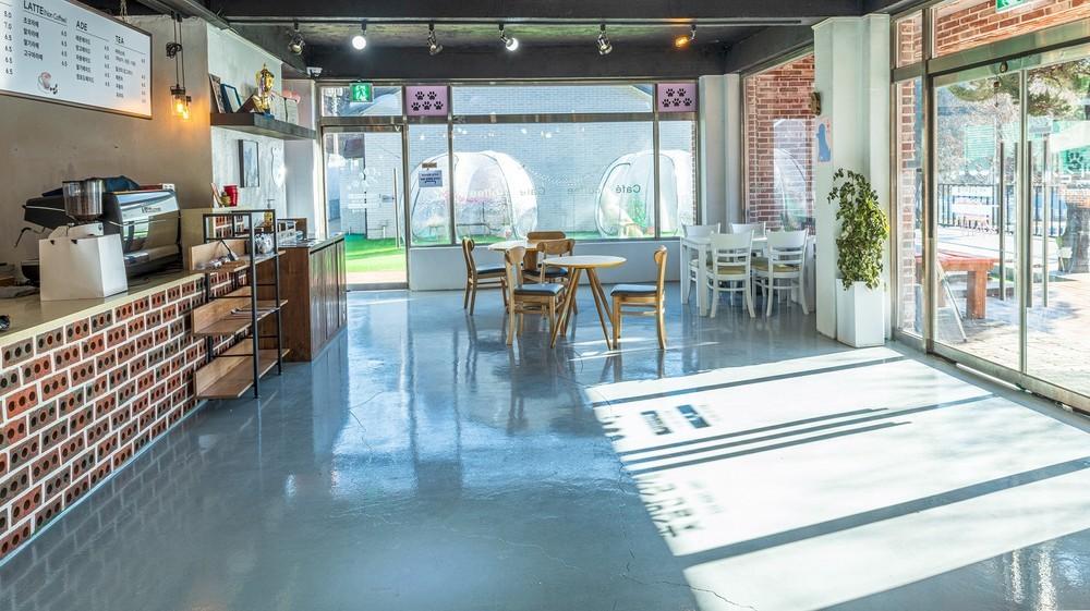 춘천애견펜션 꽃길만 걷개 (Chuncheon Dog pension Walk the Flower Path)