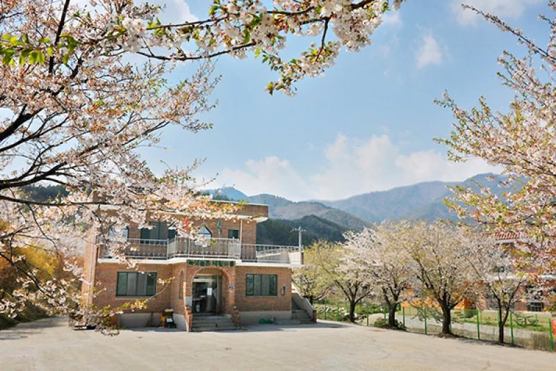영주 부석사아래단풍길펜션 (Yeongju Buseoksa Maple Pension)