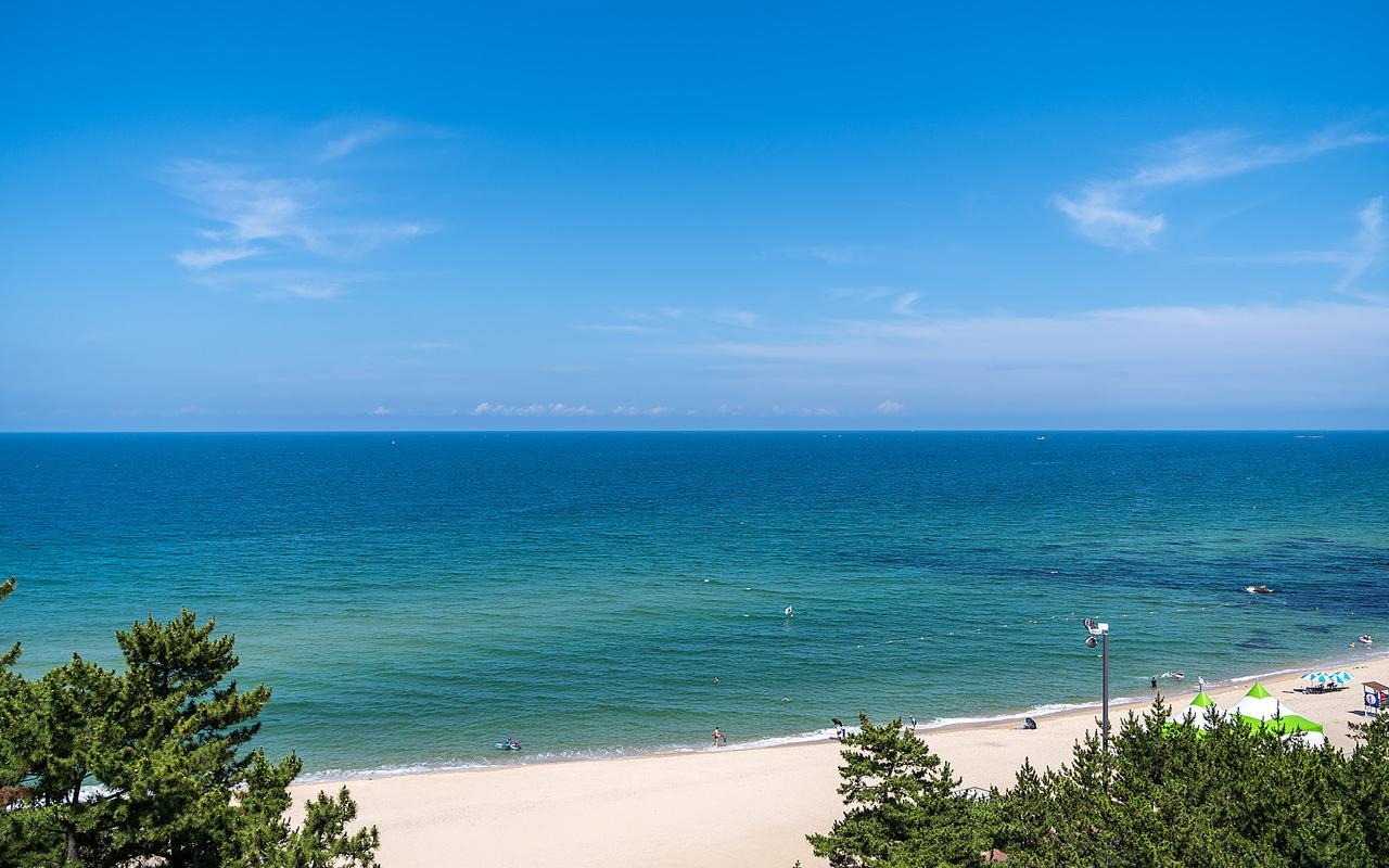 브라운도트 강릉경포점 (Brown Dot Gangneung Gyeongpo)