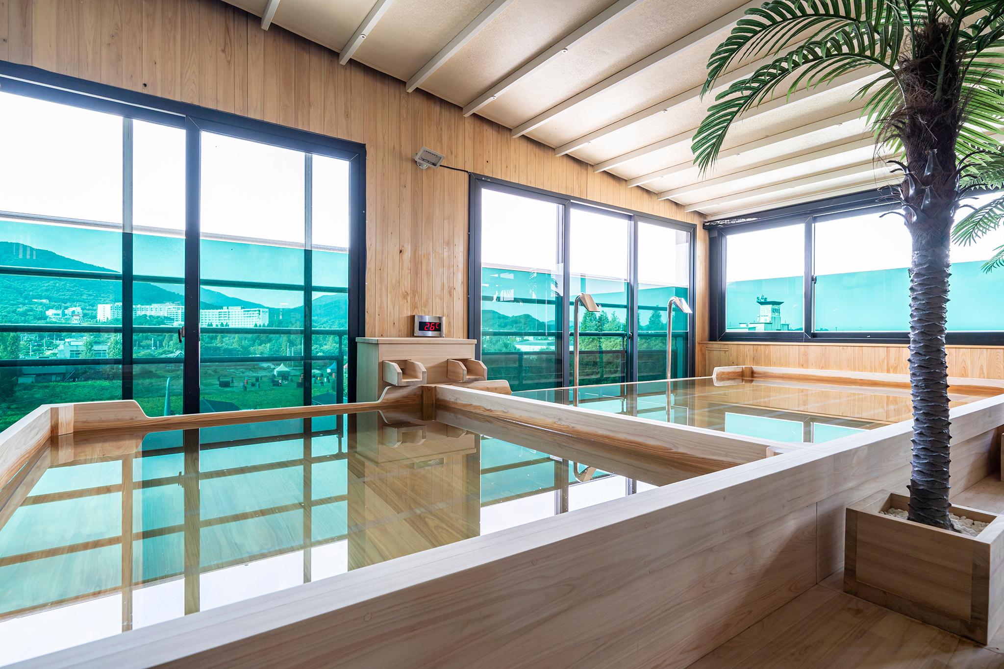 예산(덕산) 스파뷰 호텔 (Yesan (Deoksan) Spa View Hotel)